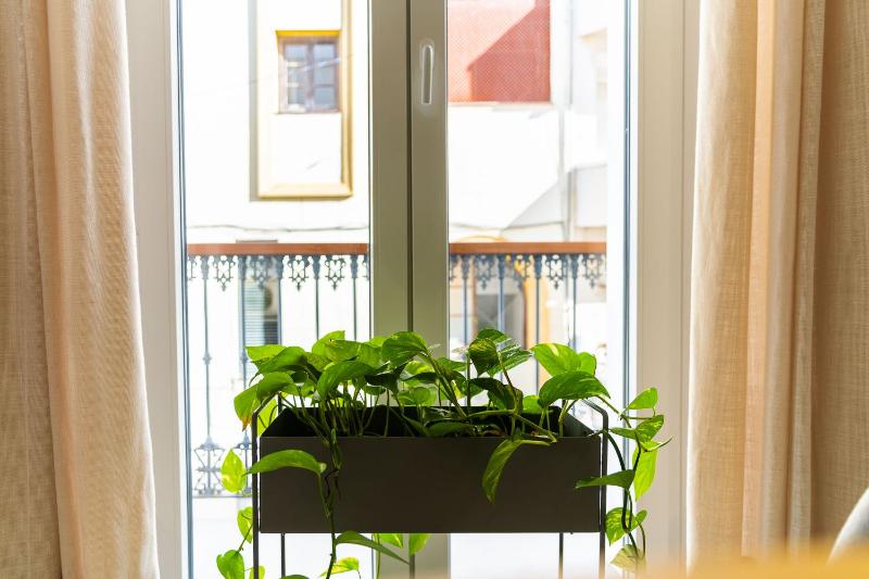CASA DE LA VEGA SUITES - image 6