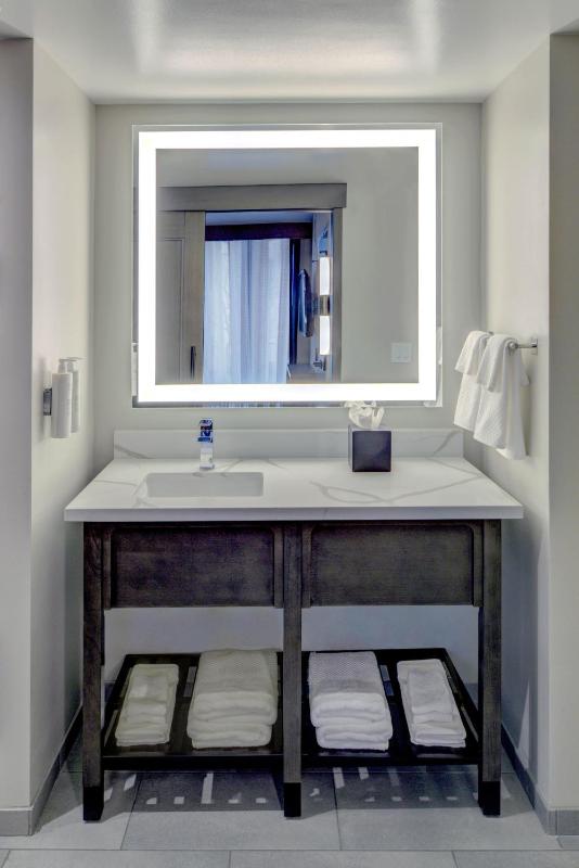 King Studio Suite image 2