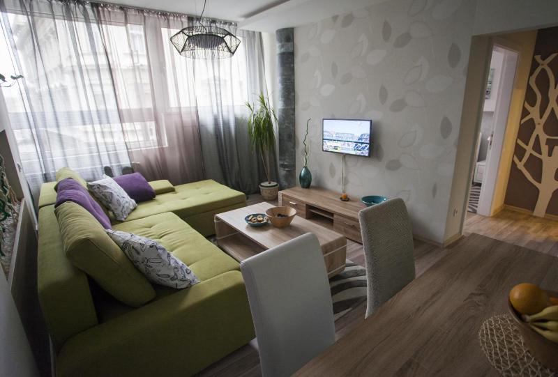One-Bedroom Apartment image 3