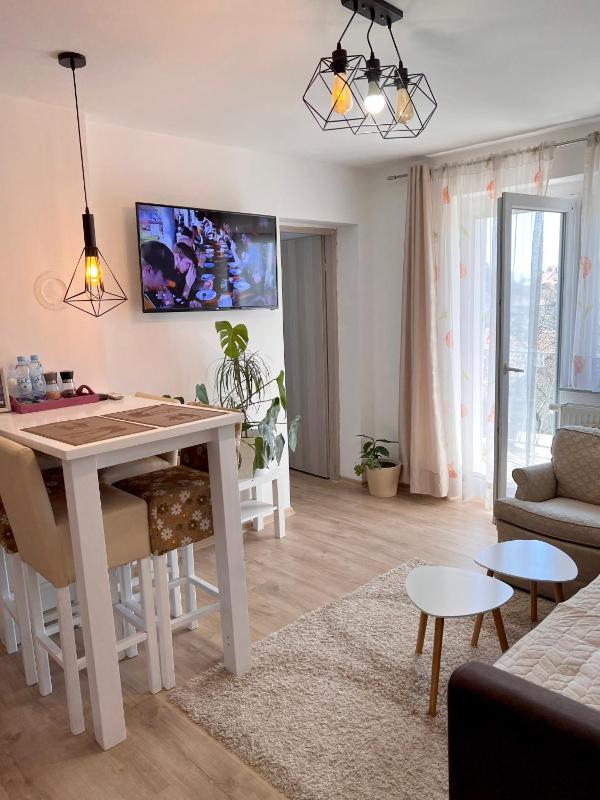 Apartment with Terrace image 4