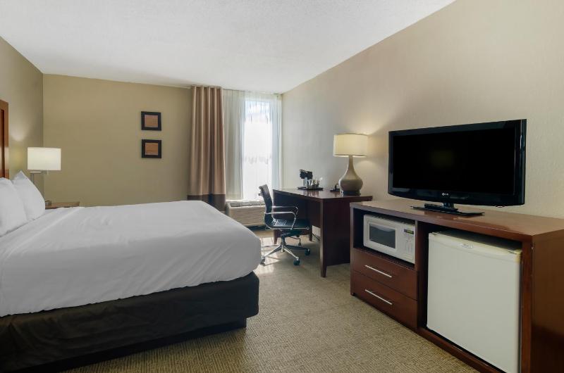 King Room - Accessible/Non-Smoking image 4