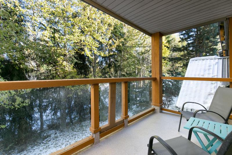 Glaciers Reach by Allseason Vacation Rentals - image 16