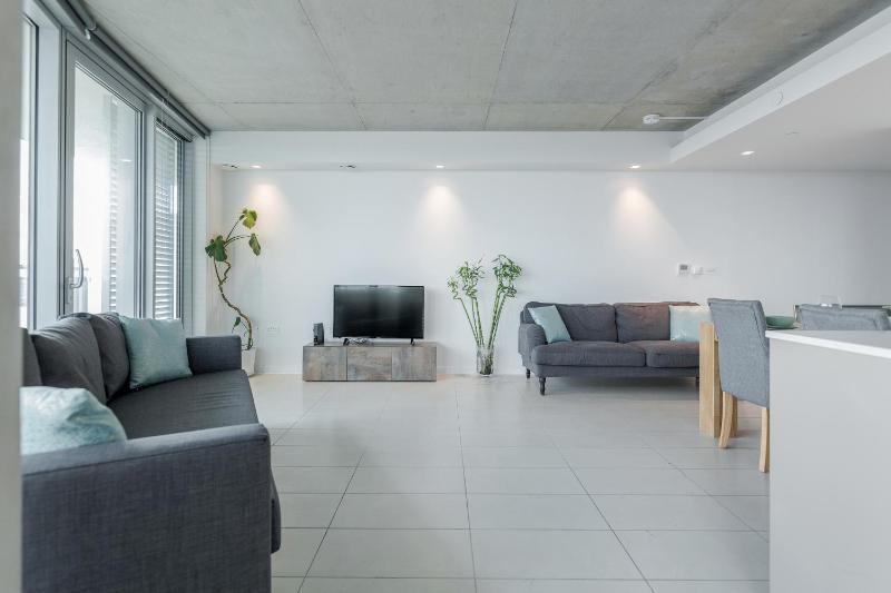 Penthouse Apartment image 2