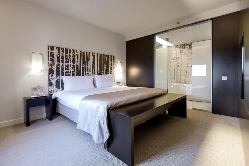 King Suite - Non-Smoking image 4