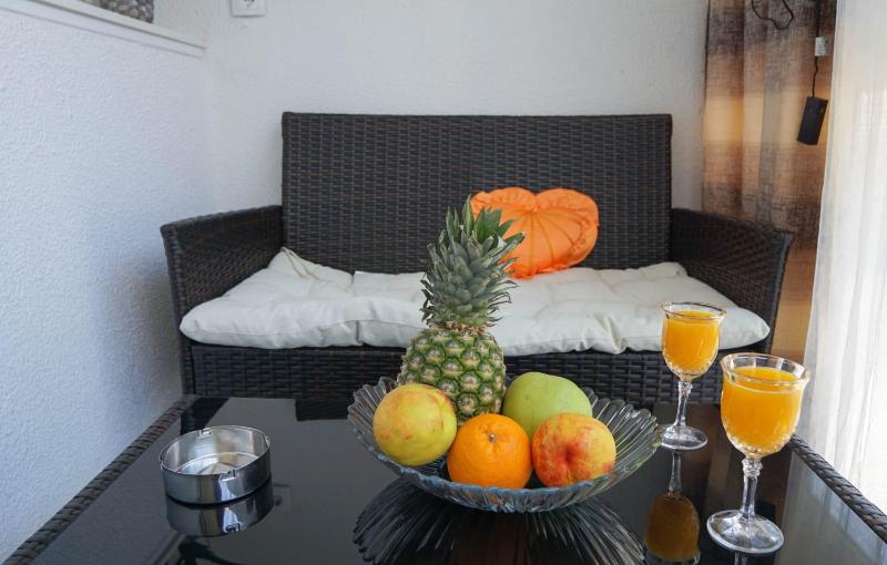 One-Bedroom Apartment image 2