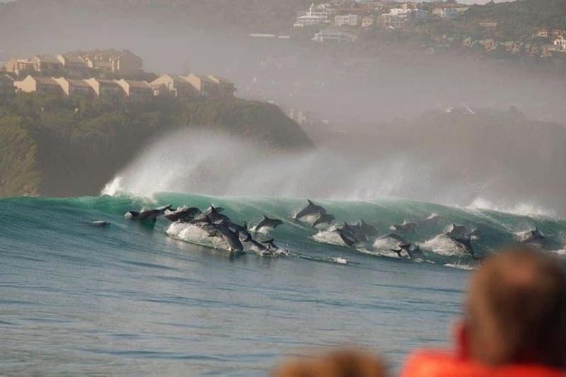 Garden Route spectacular view over Indian Ocean - image 7