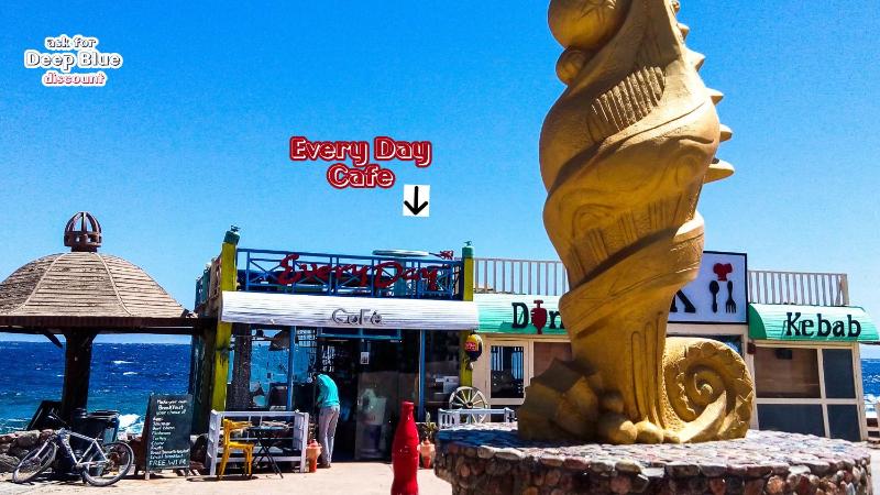 Deep Blue Divers Hostel Dahab - image 43