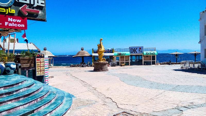Deep Blue Divers Hostel Dahab - image 47