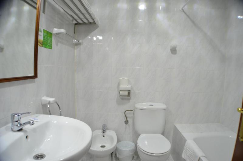 Double or Twin Room image 3