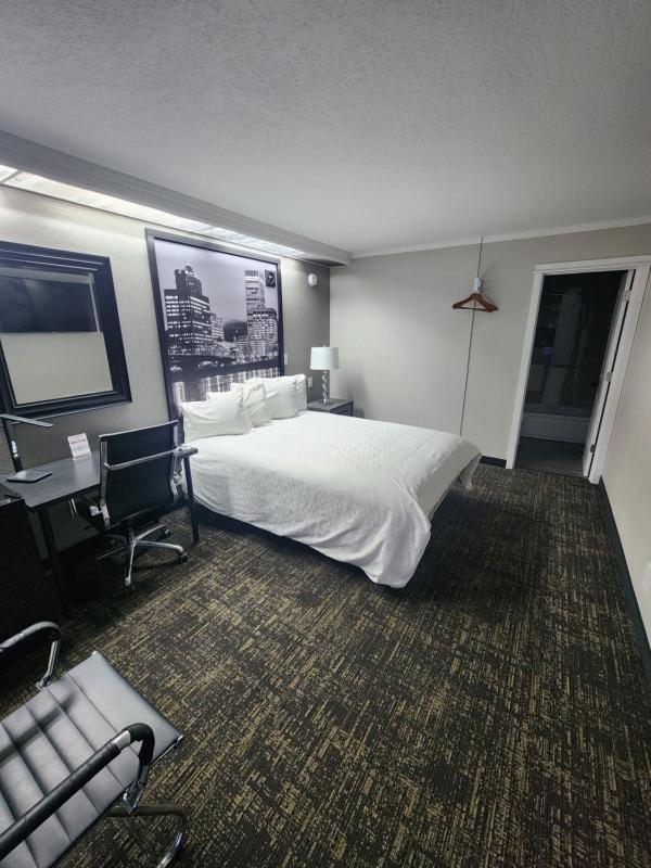 Executive Lodge - image 11