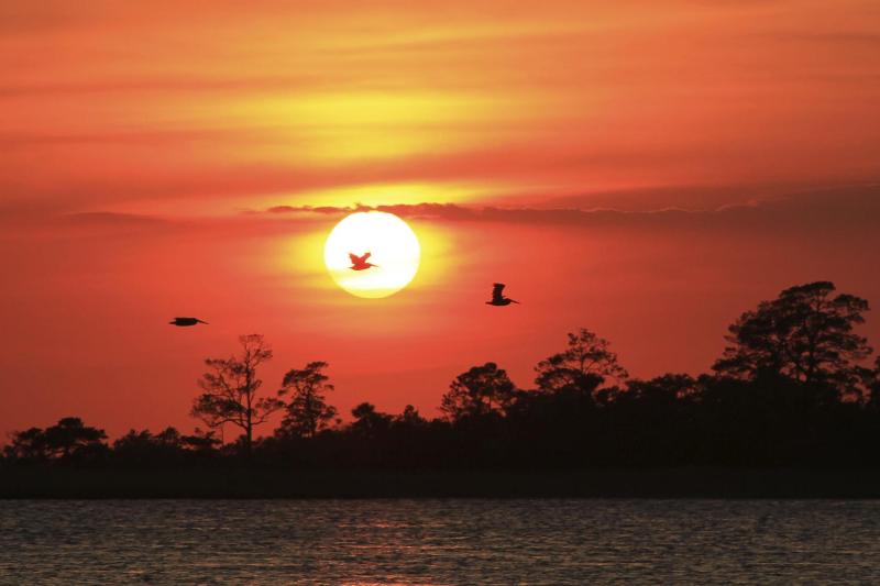 Hotel Tybee - image 3