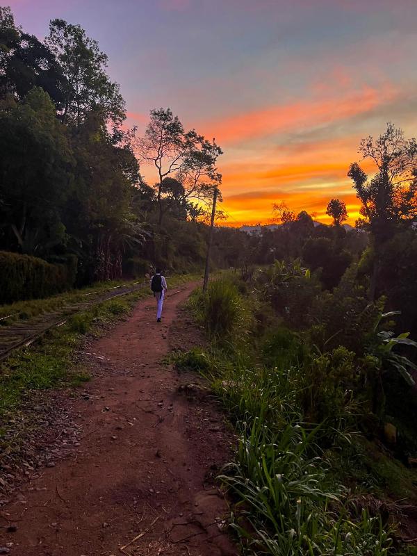 Ella Happy View Homestay - image 35