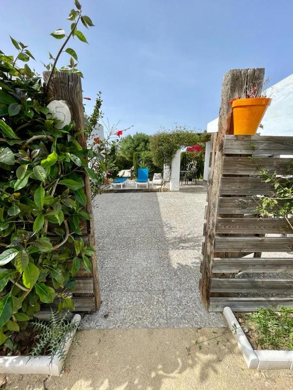 Ilusiones del Mar - image 19