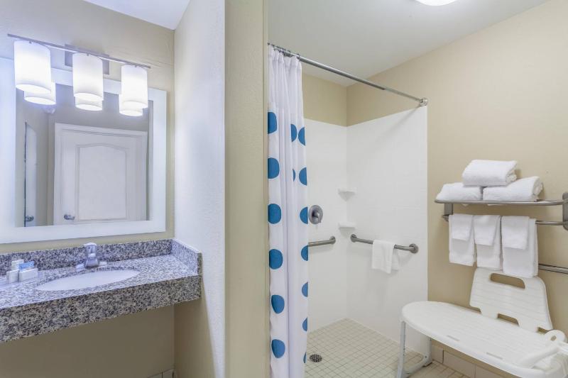 King Studio Suite with Sofa Bed - Hearing Accessible image 2