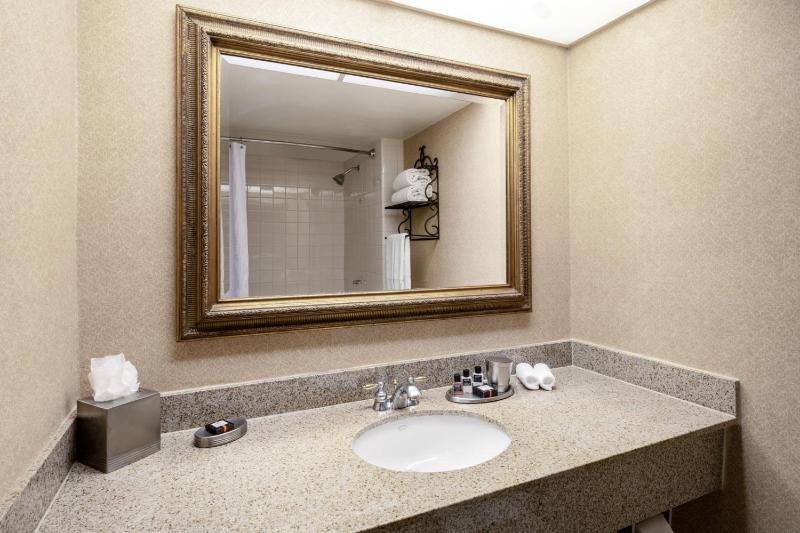 Austin Southpark Hotel - image 10