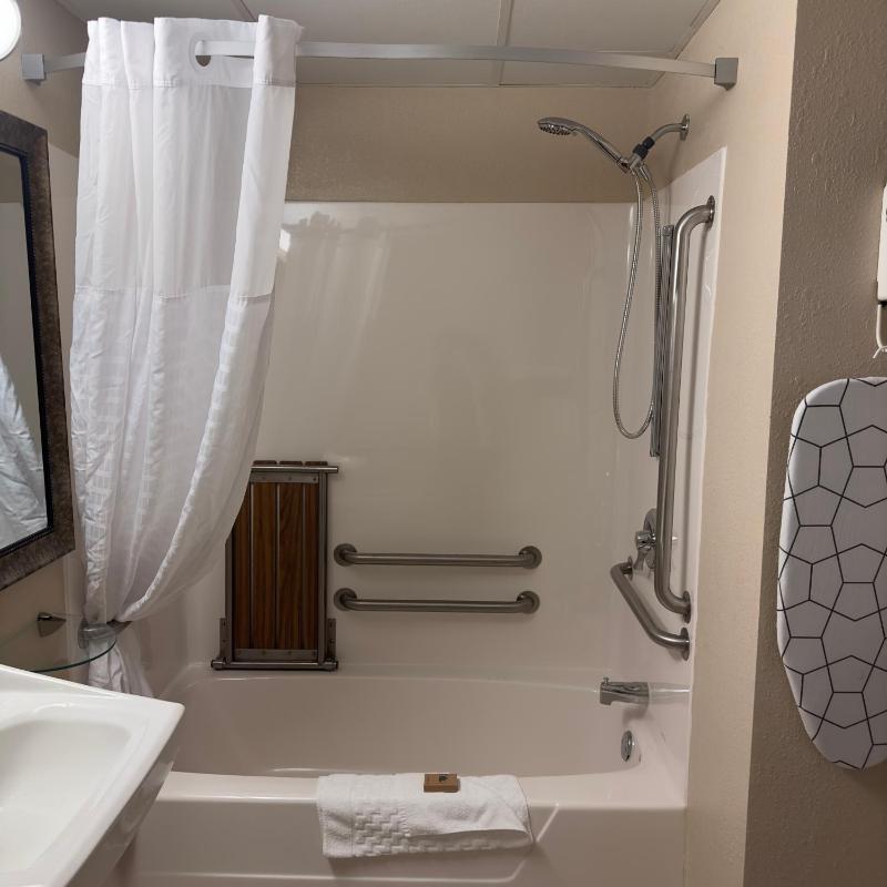 King Suite - Disability Access image 1