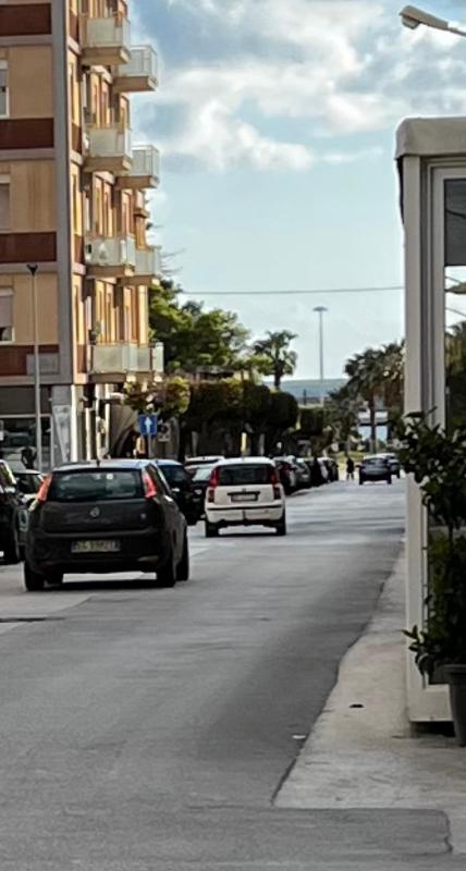 Fiore di Marte - image 19