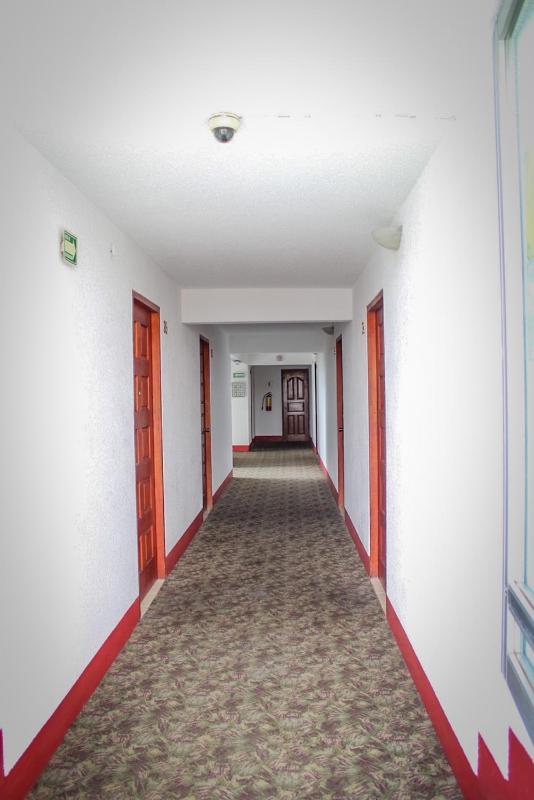 Hotel Aurora - image 3