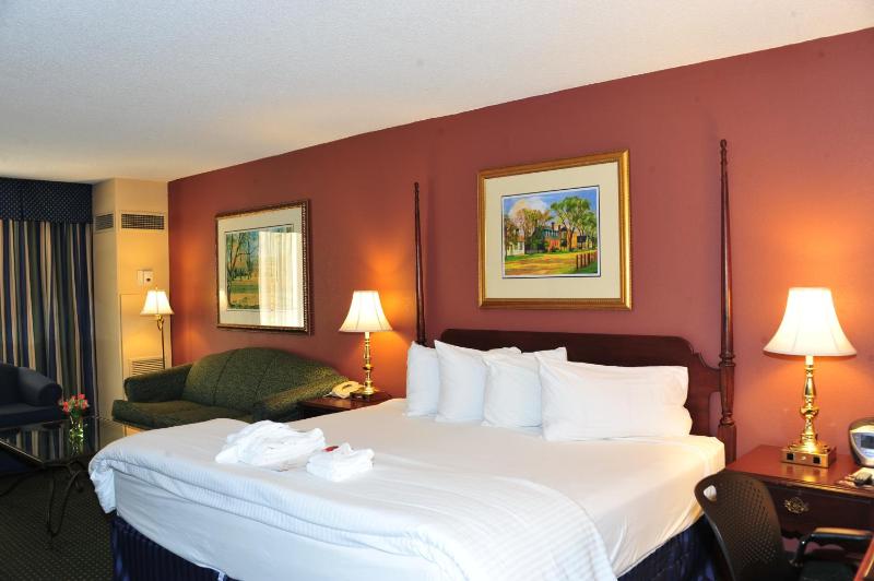 Junior King Suite - Non-Smoking image 4
