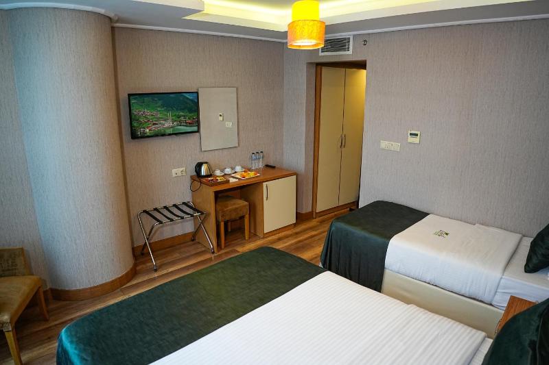 Standard Double or Twin Room image 1