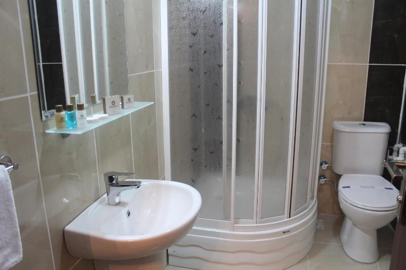 Deluxe Double or Twin Room with City View image 2