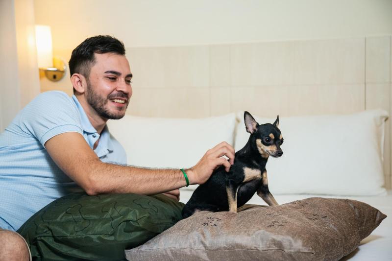 Ibis Styles Belem Batista Campos - image 10