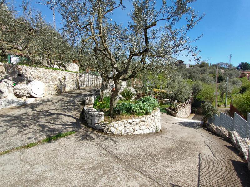 Cynara holiday house - image 32