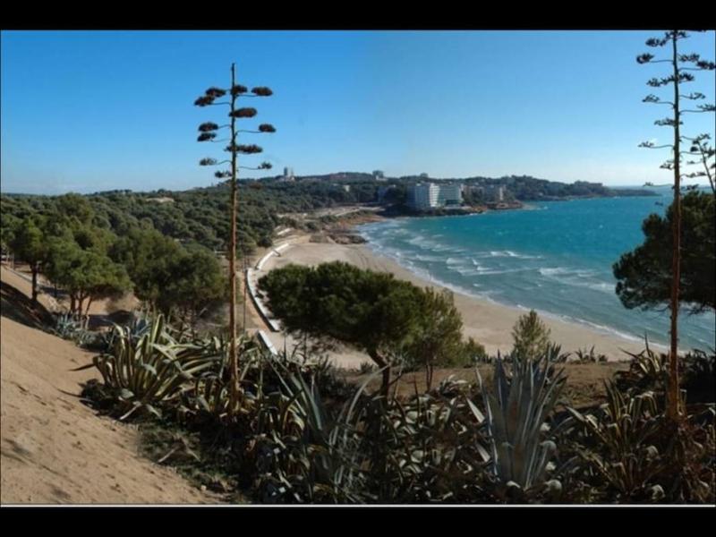 Luxurious Villa La Paz: Beach Port Aventura Golf - image 20