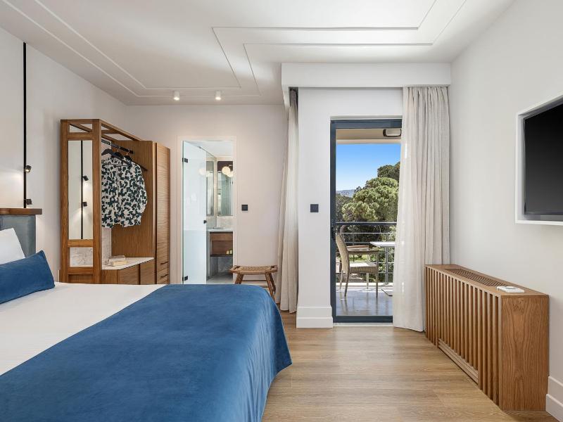 Deluxe Double Room image 1