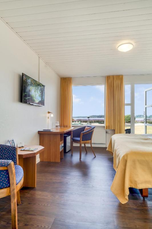 Superior Double or Twin Room with Fjord View image 4