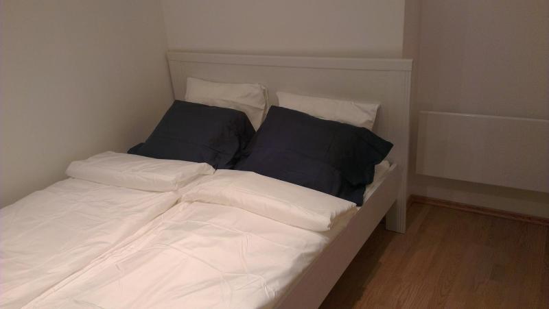 One-Bedroom Apartment image 3
