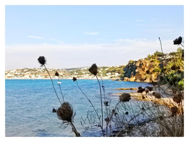 Case D'Anna - image 18