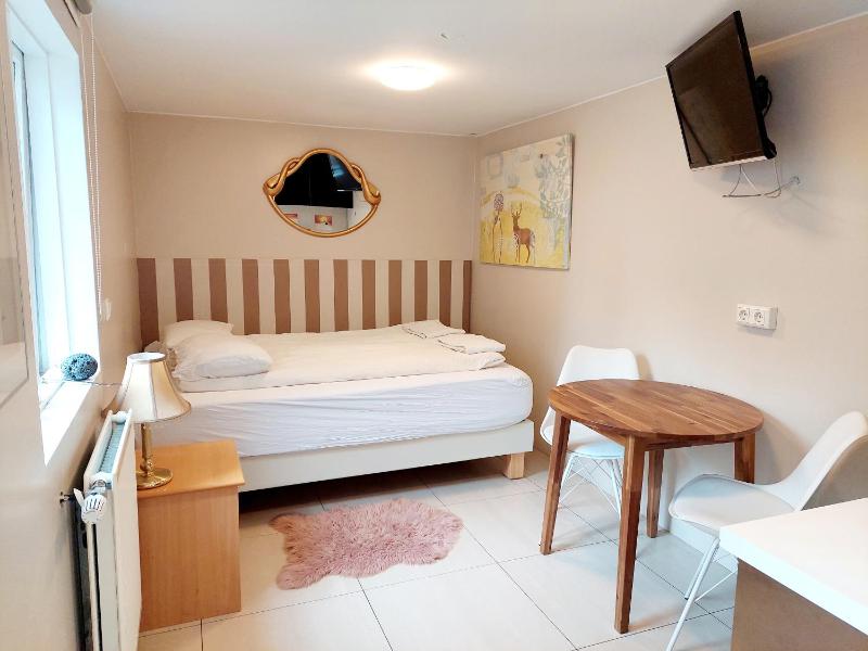 Studio Apartment image 1