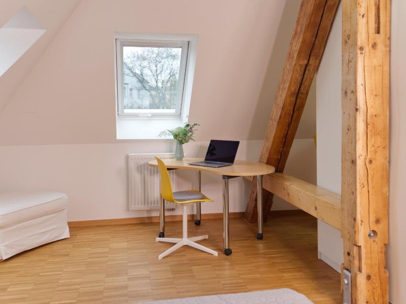 BohnApartments Altstadt-Loft - Wasserbett - Parkplatz - WLAN - Zentrum - image 13