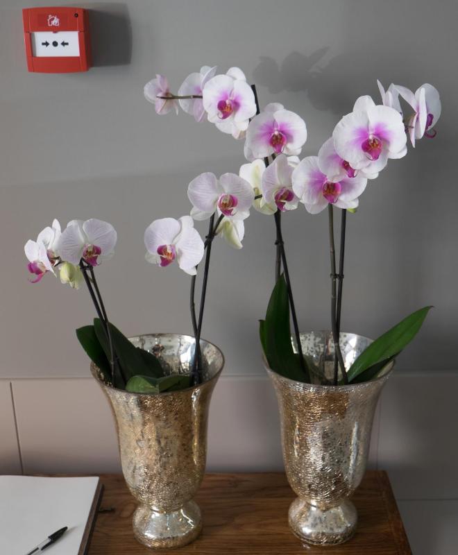 Hotel Art Santander - image 39