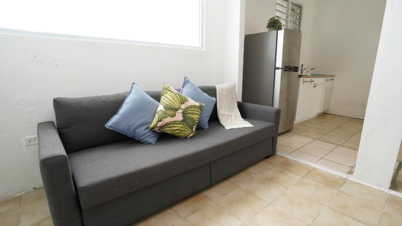 One-Bedroom Apartment image 3