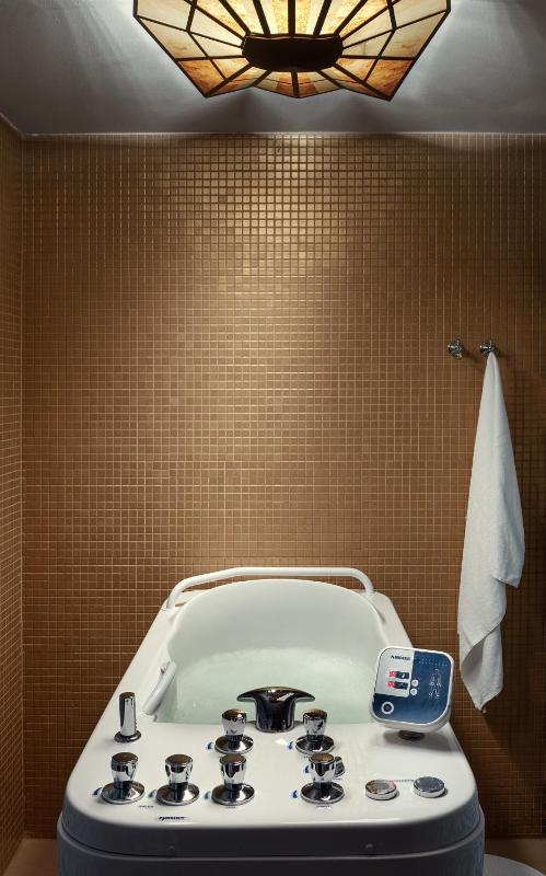 Villa Smetana Spa & Wellness Resort - image 9