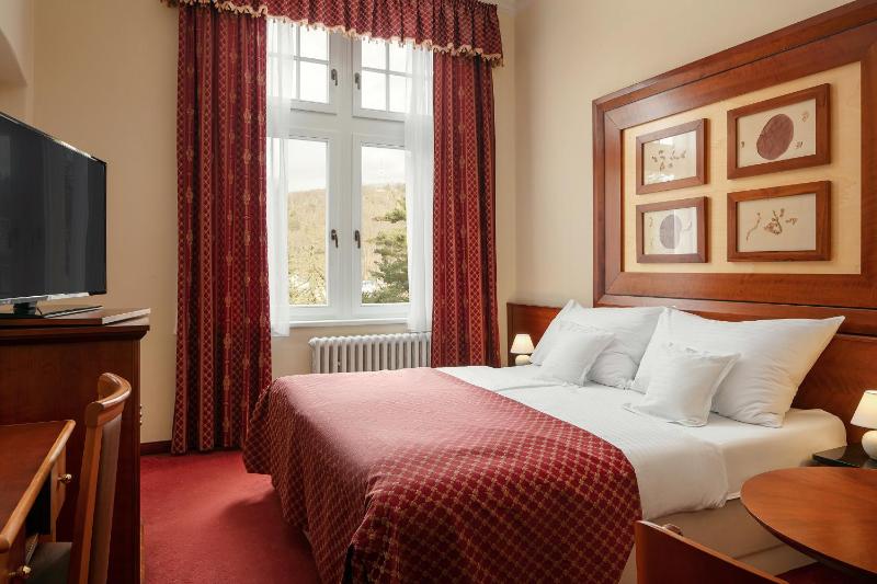 Villa Smetana Spa & Wellness Resort - image 22