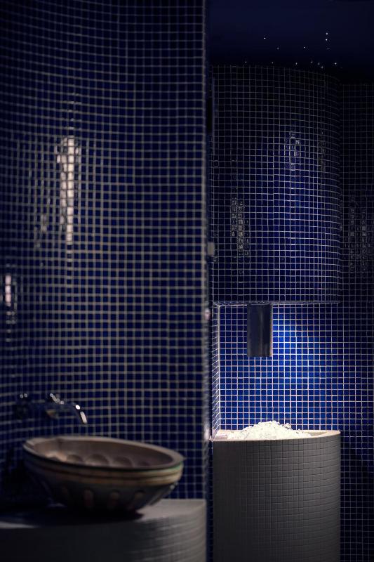 Villa Smetana Spa & Wellness Resort - image 16