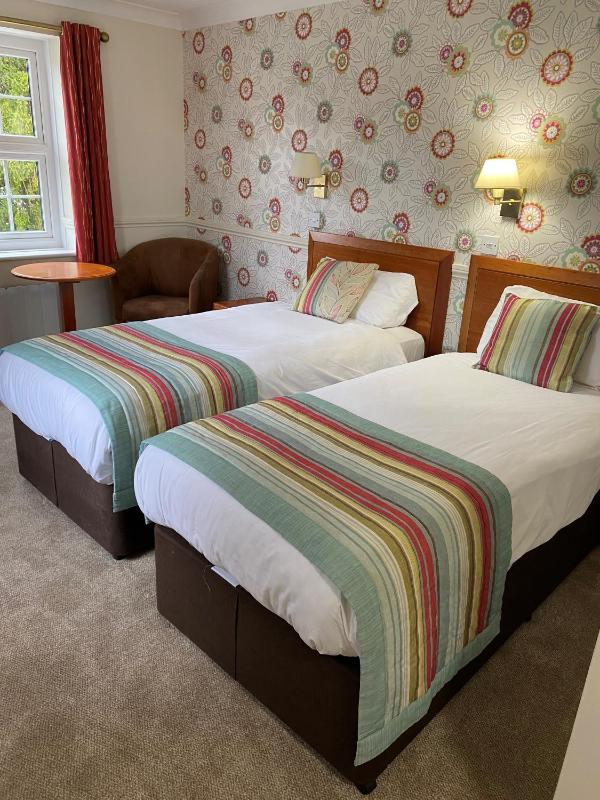 Twin Room image 1