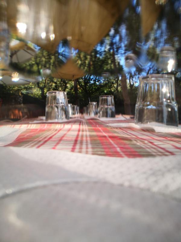 Cynara holiday house - image 42