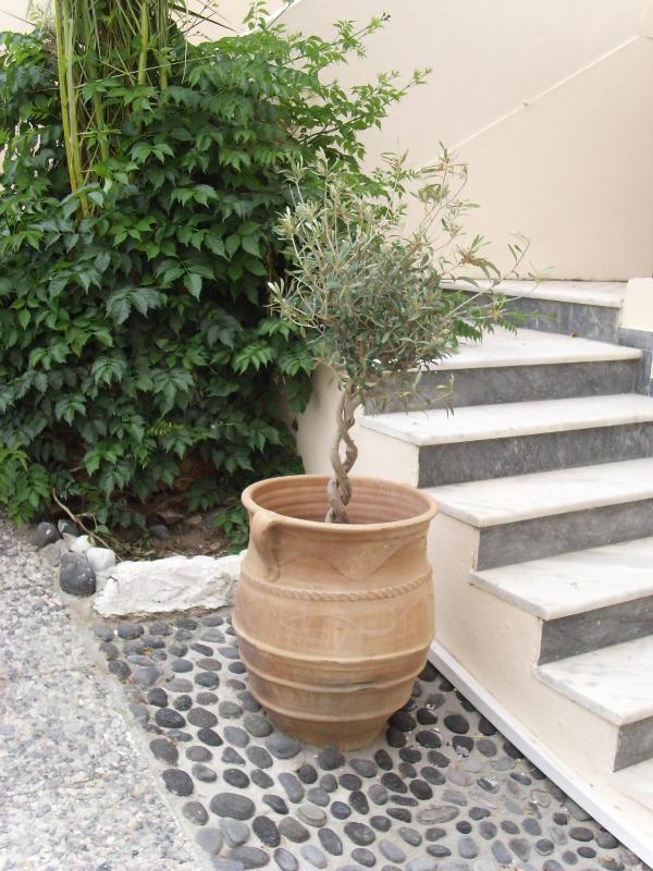 Suite Split Level image 2