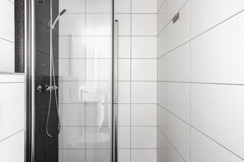 1 Bedroom Apartment image 2