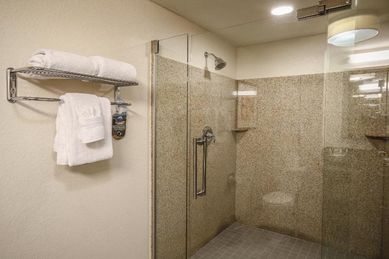 Standard King Room with Walk-In Shower image 3