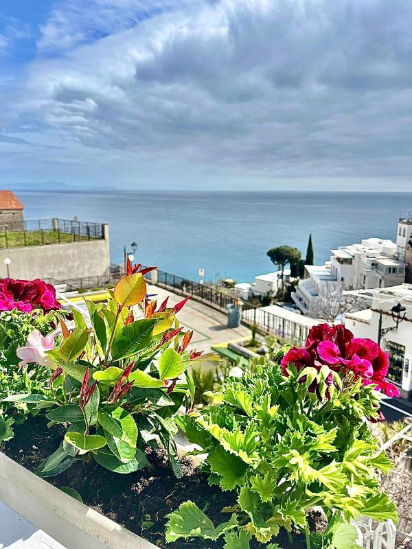 Hotel Villa Delle Palme in Positano - image 7