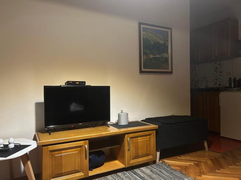 One-Bedroom Apartment image 3
