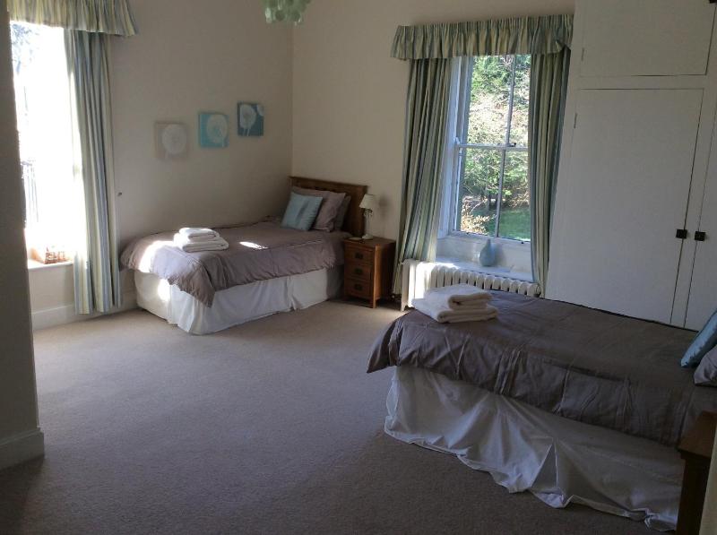 Deluxe Twin Room image 1