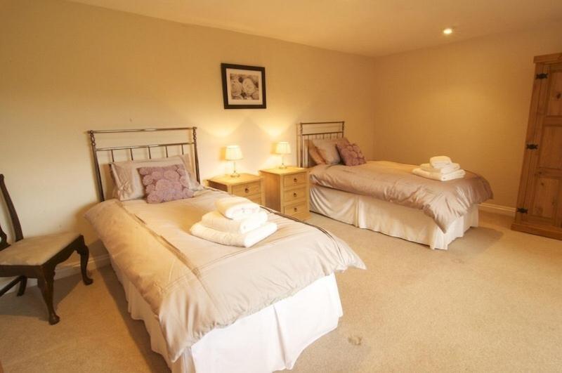 Deluxe Twin Room image 4