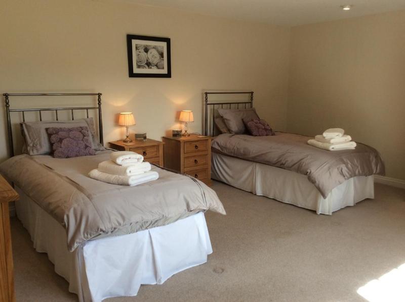 Deluxe Twin Room image 3