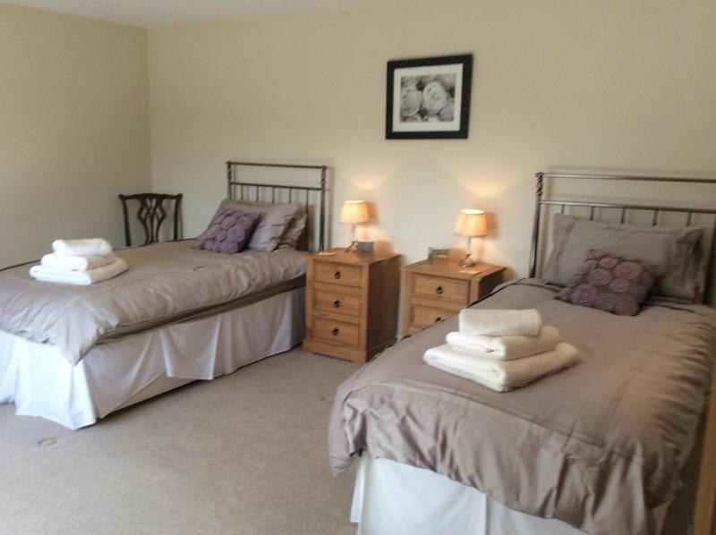 Deluxe Twin Room image 2